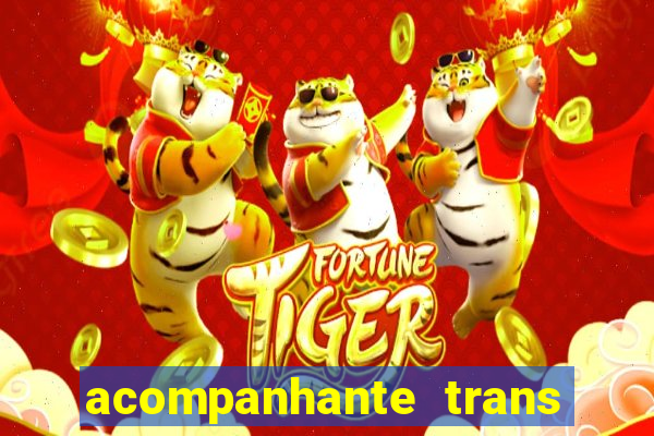 acompanhante trans em porto alegre